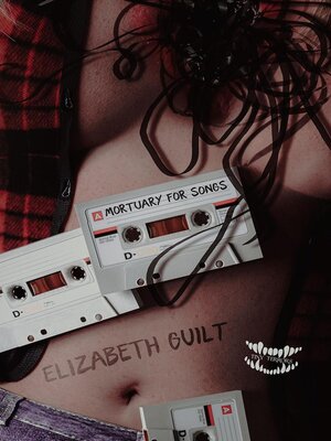 cover image of A Mortuary for Songs